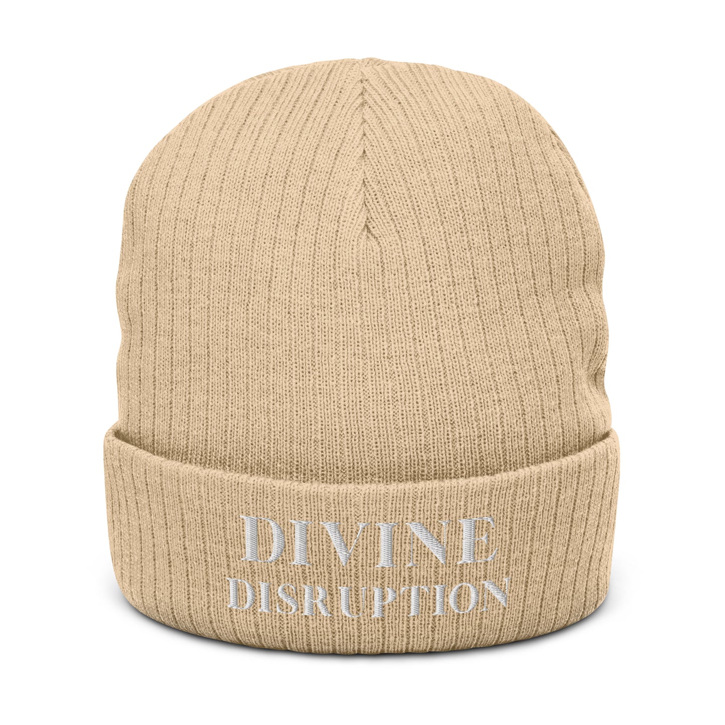 Divine Disruption | Ribbed Knit Beanie