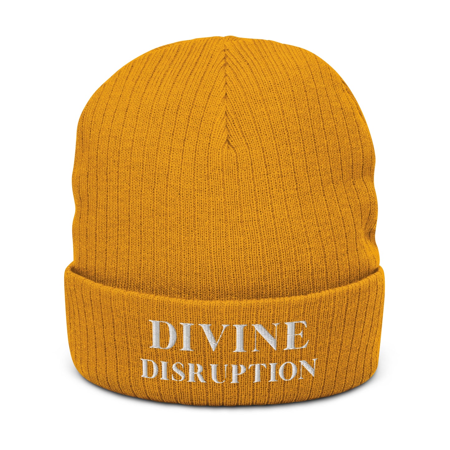 Divine Disruption | Ribbed Knit Beanie