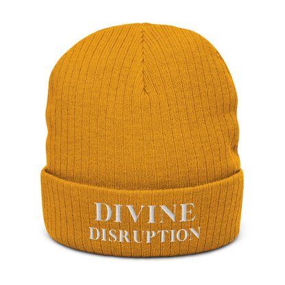 Divine Disruption | Ribbed Knit Beanie